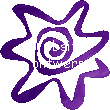 Web design - van idee tot concreet resultaat: ontwerp, implementatie, verzorgen content en onderhoud